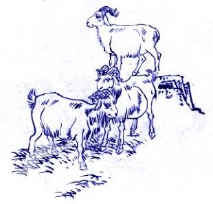 中國(guó)青花瓷傳統(tǒng)圖案寓意全集