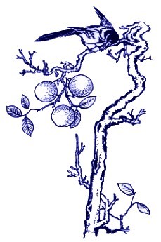 中國(guó)青花瓷傳統(tǒng)圖案寓意全集