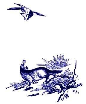 中國(guó)青花瓷傳統(tǒng)圖案寓意全集