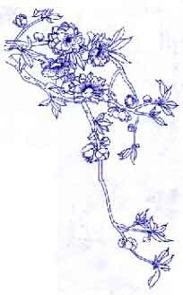 中國(guó)青花瓷傳統(tǒng)圖案寓意全集