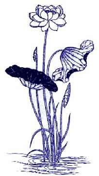 中國(guó)青花瓷傳統(tǒng)圖案寓意全集